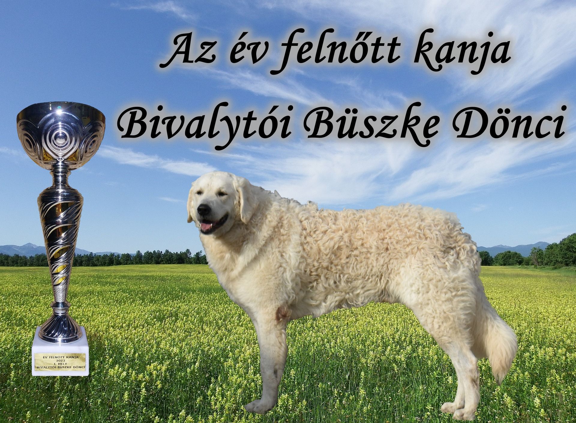 431883722_724421879860428_4265946292479158421_n (1)