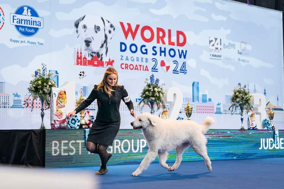 439212203_3337746216526406_8029753598128973534_n